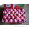 Apple Fruit Price